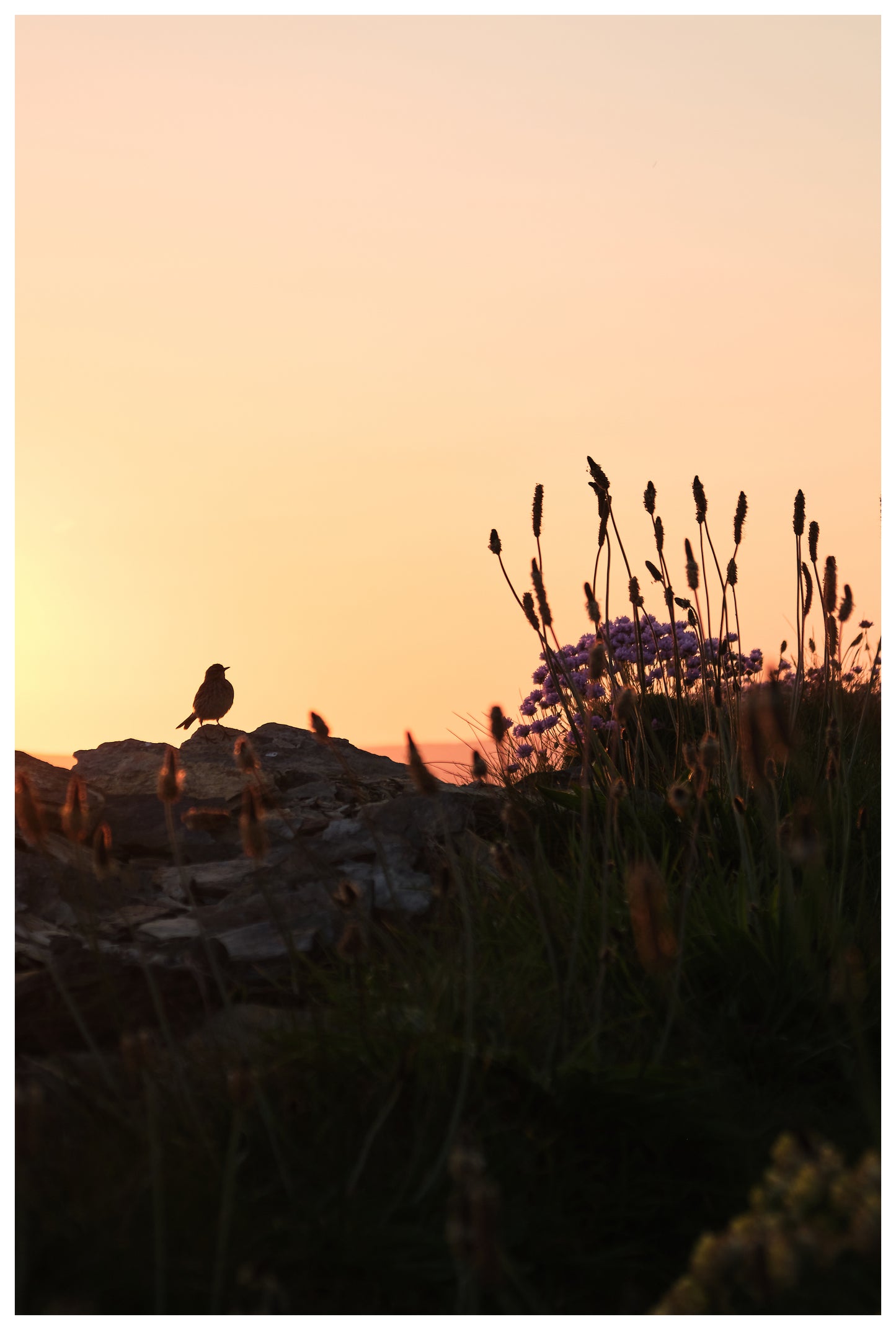 Eveningsong