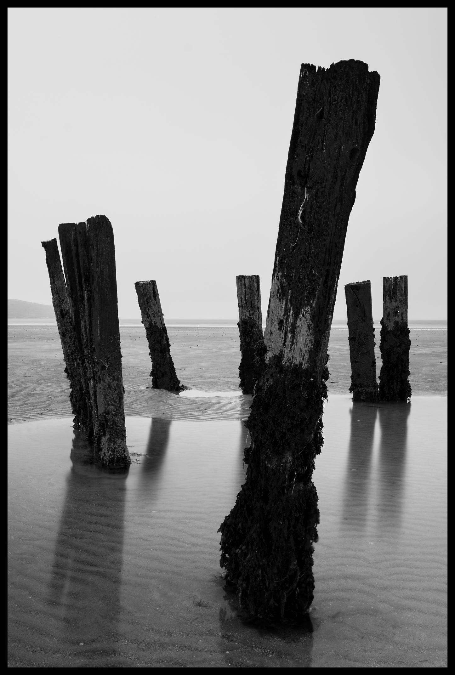 Harbour View Groynes